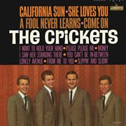 California sun - she loves you cover image cdn