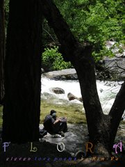 Flora cover image cdn