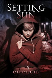 Setting sun cover image cdn