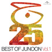 Best of junoon (vol. 1) cover image cdn