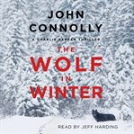 The wolf in winter cover image cdn