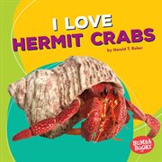 I love hermit crabs cover image cdn