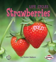 Strawberries cover image cdn