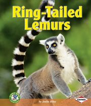 Ring-tailed lemurs cover image cdn