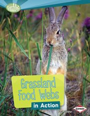 Grassland food webs in action cover image cdn