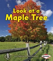 Look at a maple tree cover image cdn