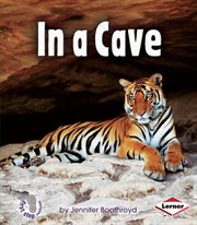 In a cave cover image cdn