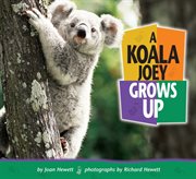 A koala joey grows up cover image cdn