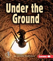 Under the ground cover image cdn