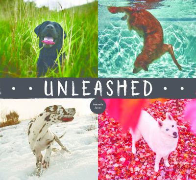 Unleashed  cover image cdn