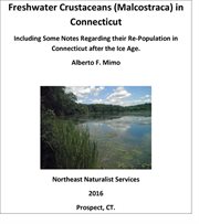 Freshwater crustaceans (malcostraca) in connecticut. Including Some Notes Regarding Their Re-Population in Connecticut After the Ice Age cover image cdn