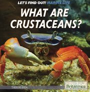 What are crustaceans? cover image cdn