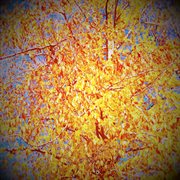 Shortwave now cover image cdn