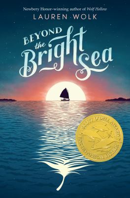 Beyond the bright sea  cover image cdn