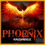 Phoenix cover image cdn