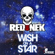 Wish on a star cover image cdn