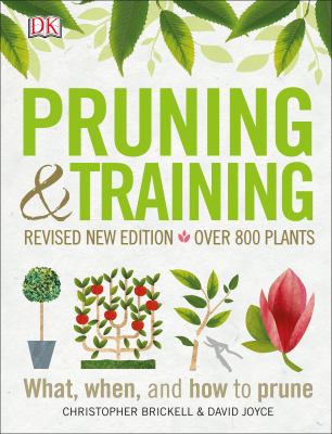 Pruning & training  cover image cdn
