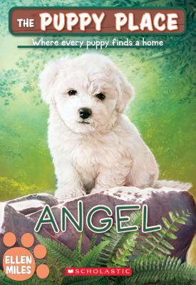 Angel  cover image cdn