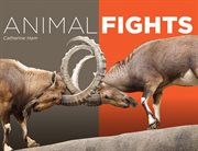 Animal fights cover image cdn