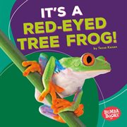 It's a red-eyed tree frog! cover image cdn