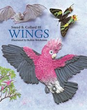 Wings cover image cdn
