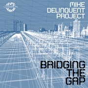 Bridging the gap cover image cdn