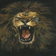 The ghost and the darkness cover image cdn