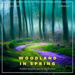 Woodland in spring. Ambient Soundscape for Mindfulness cover image cdn