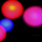 Arranged marriage np cover image cdn