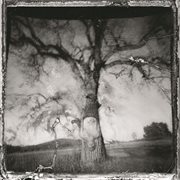 Daylight breaking cover image cdn