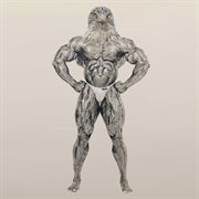 Haast cover image cdn