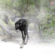 Near completion cover image cdn