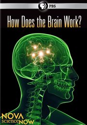 How Does the Brain Work? cover image cdn