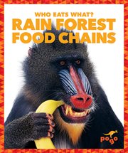 Rain forest food chains cover image cdn
