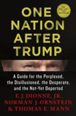 One nation after Trump : a guide for the perplexed, the disillusioned, the desperate, and the not-yet deported  cover image cdn