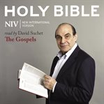 Holy Bible : new international version : the Gospels cover image cdn