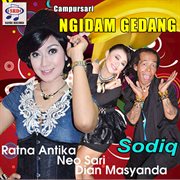 Campursari ngidam gedang cover image cdn