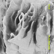 Flourishes ep cover image cdn