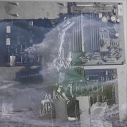 Immortal flight cover image cdn