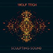Sculpting sound cover image cdn