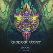 Tropical storm cover image cdn