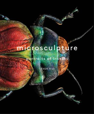 Microsculpture : portraits of insects from the collections of the Oxford University of Natural History cover image