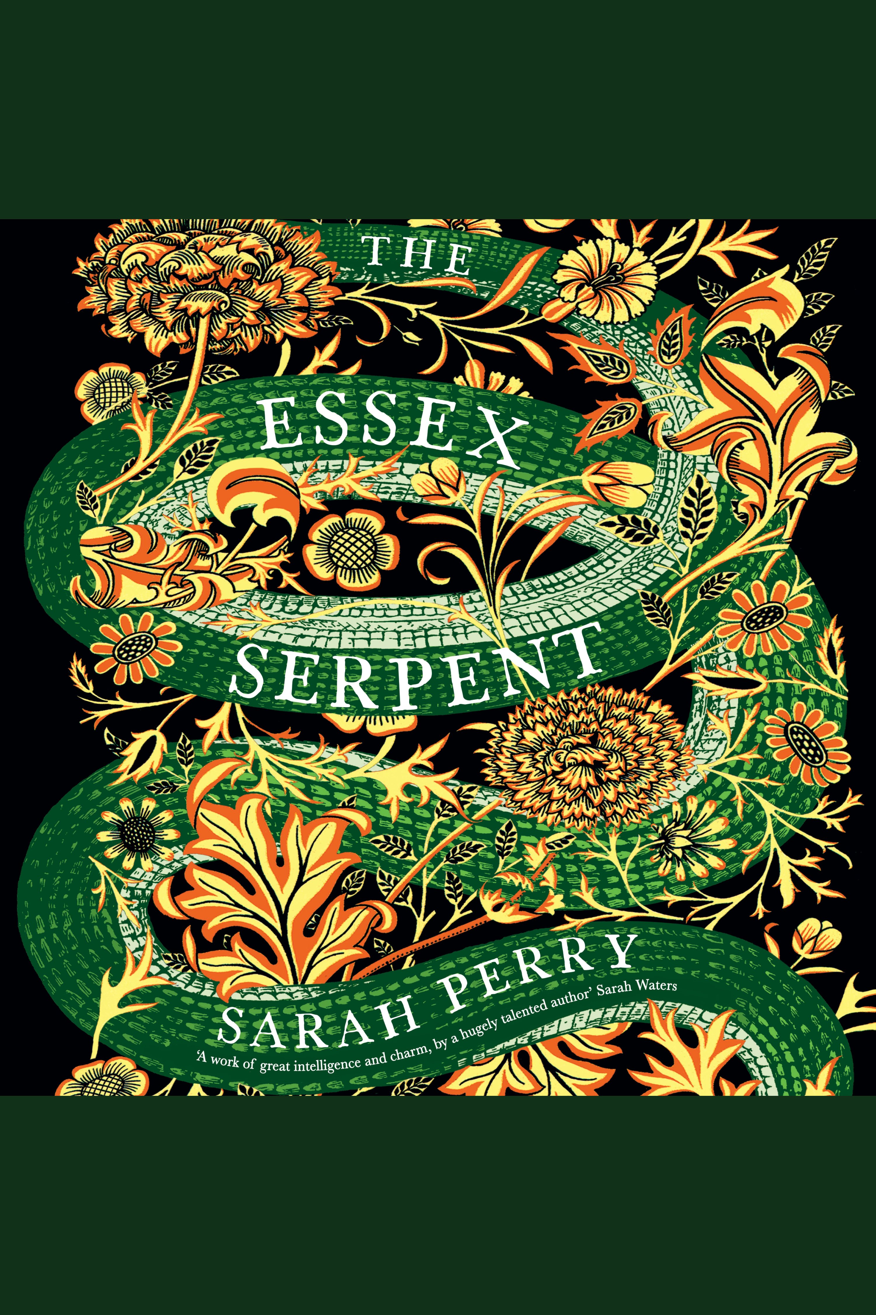 The Essex serpent cover image cdn
