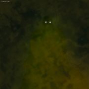 Intro to bog cover image cdn