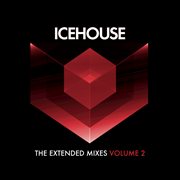 The extended mixes vol. 2 cover image cdn