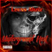 Underground heat cover image cdn