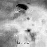 Cepa cover image cdn