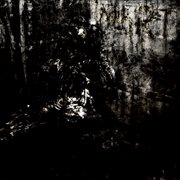 Mort cover image cdn