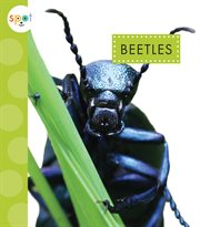 Beetles cover image cdn