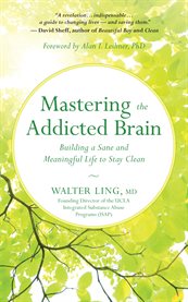 Mastering the addicted brain : building a sane and meaningful life to stay clean cover image cdn